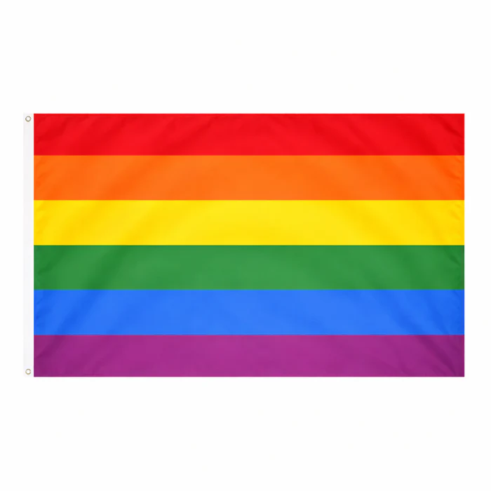 Vlag regenboog ca. 150 x 90cm