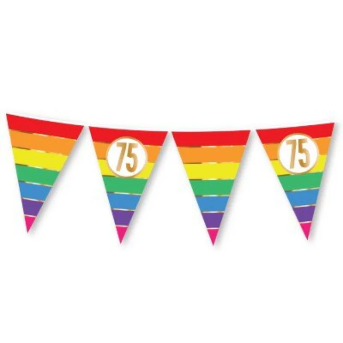 Vlaggenlijn Regenboog 75