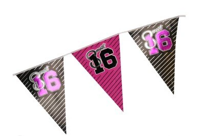 Vlaggenlijn Sweet 16 zilver/roze/zwart 2,6m